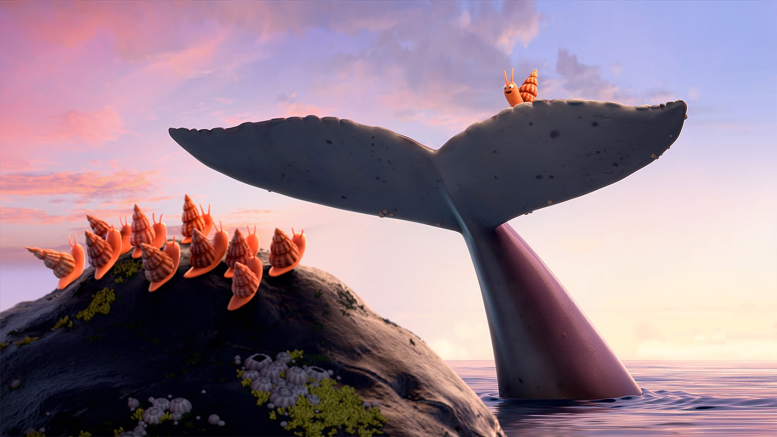 The Snail and the Whale