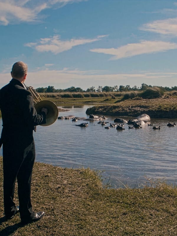 A horn player playing in front of an area of water with hippos