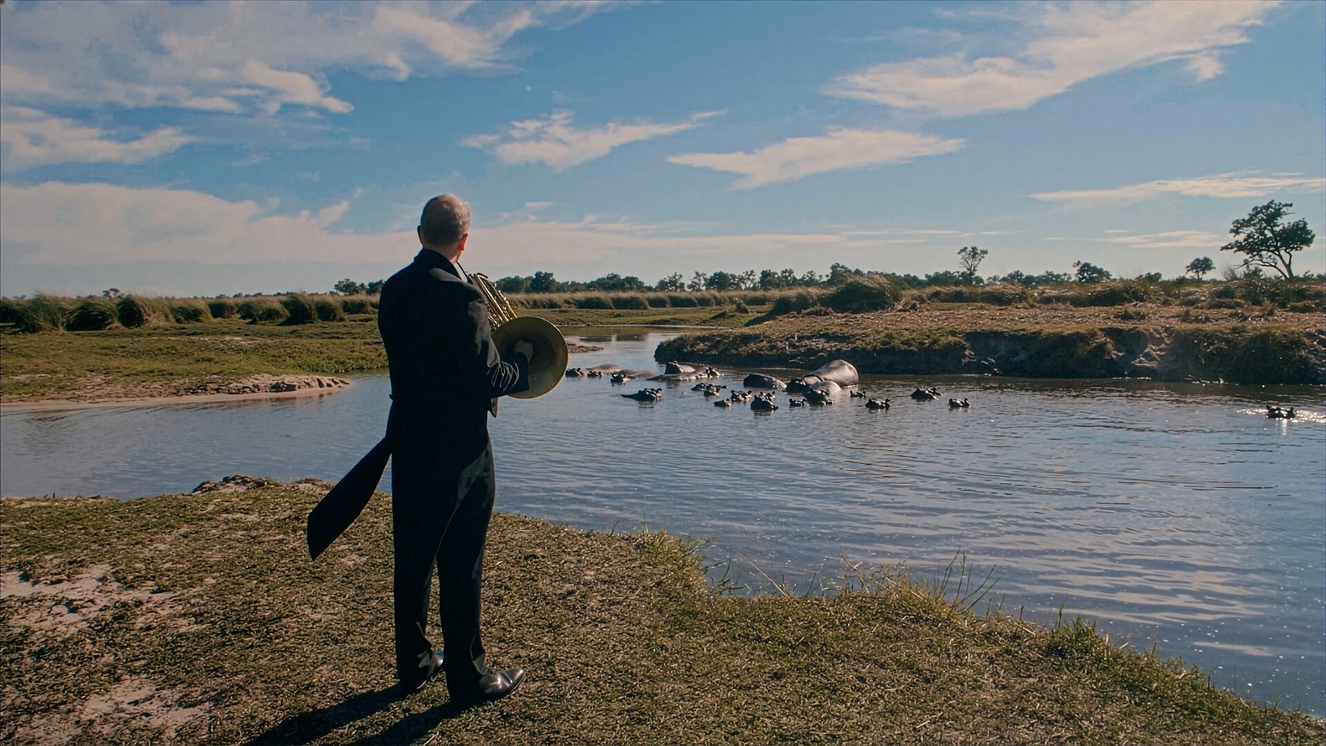 A horn player playing in front of an area of water with hippos